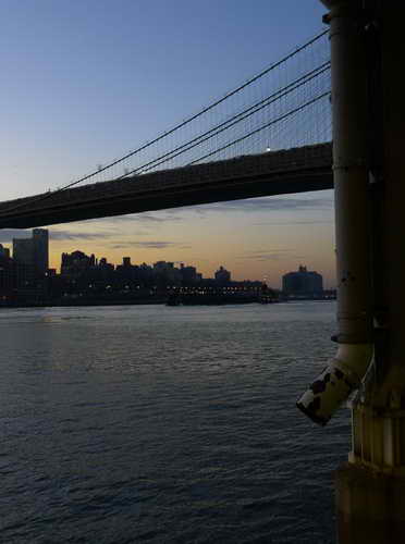 NYC_2012-11-21 06-40-47_P1070319